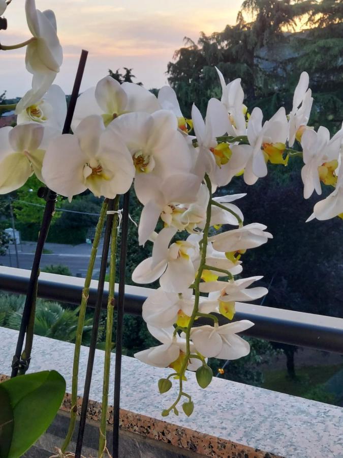 Alloggio Orchidea Monfalcone Eksteriør billede